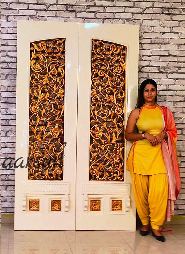 Double Door Main Gate Design Royal Finish view 4